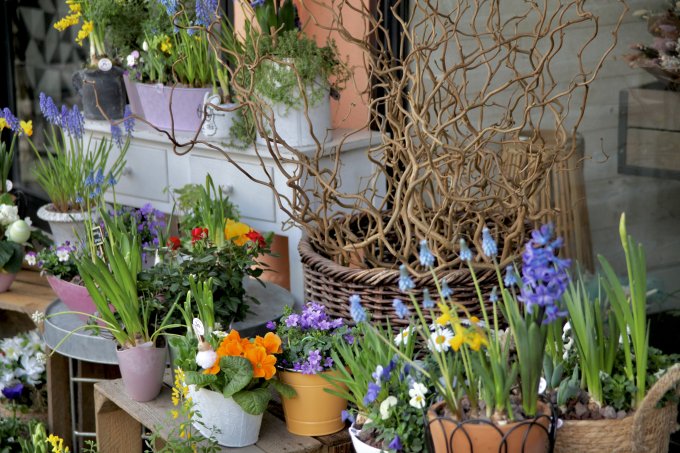 Un air de printemps photo 8